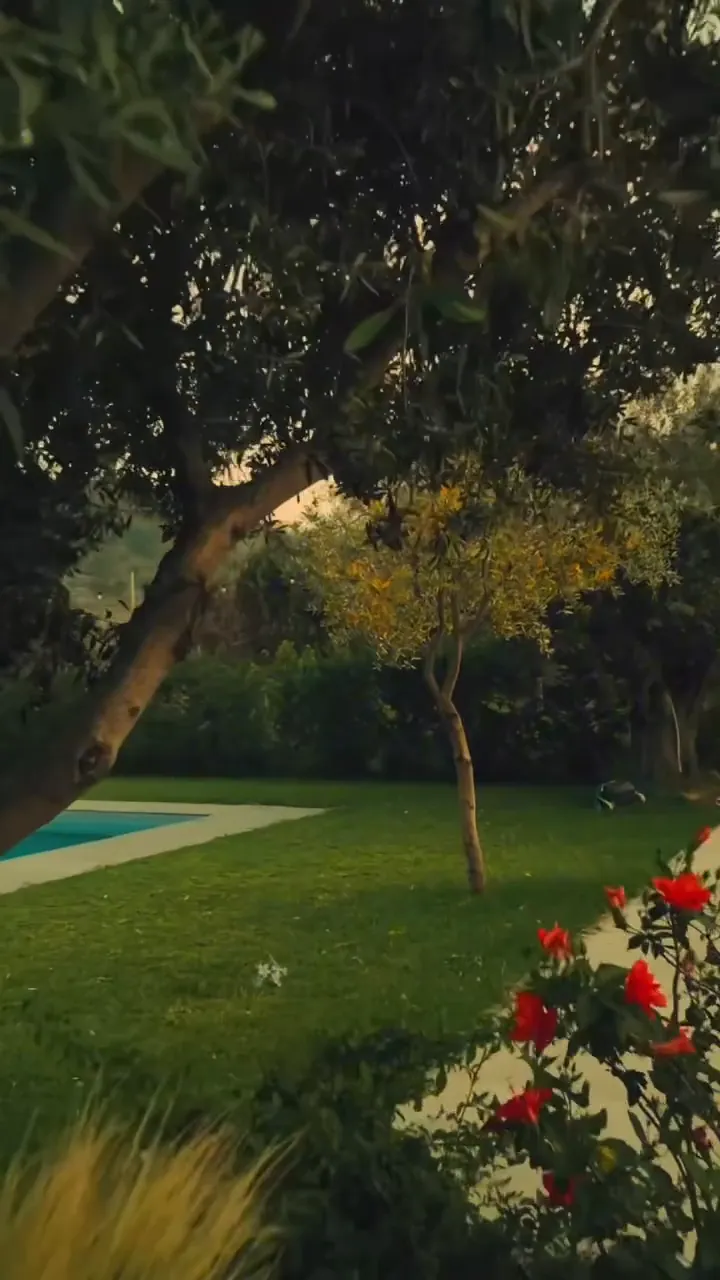 Il giardino nella luce della sera: il tronco di un ulivo attraversa l'immagine; sul prato un alberello dalle foglie gialle e l'angolo della piscina, con rose rosse in primo piano a destra.